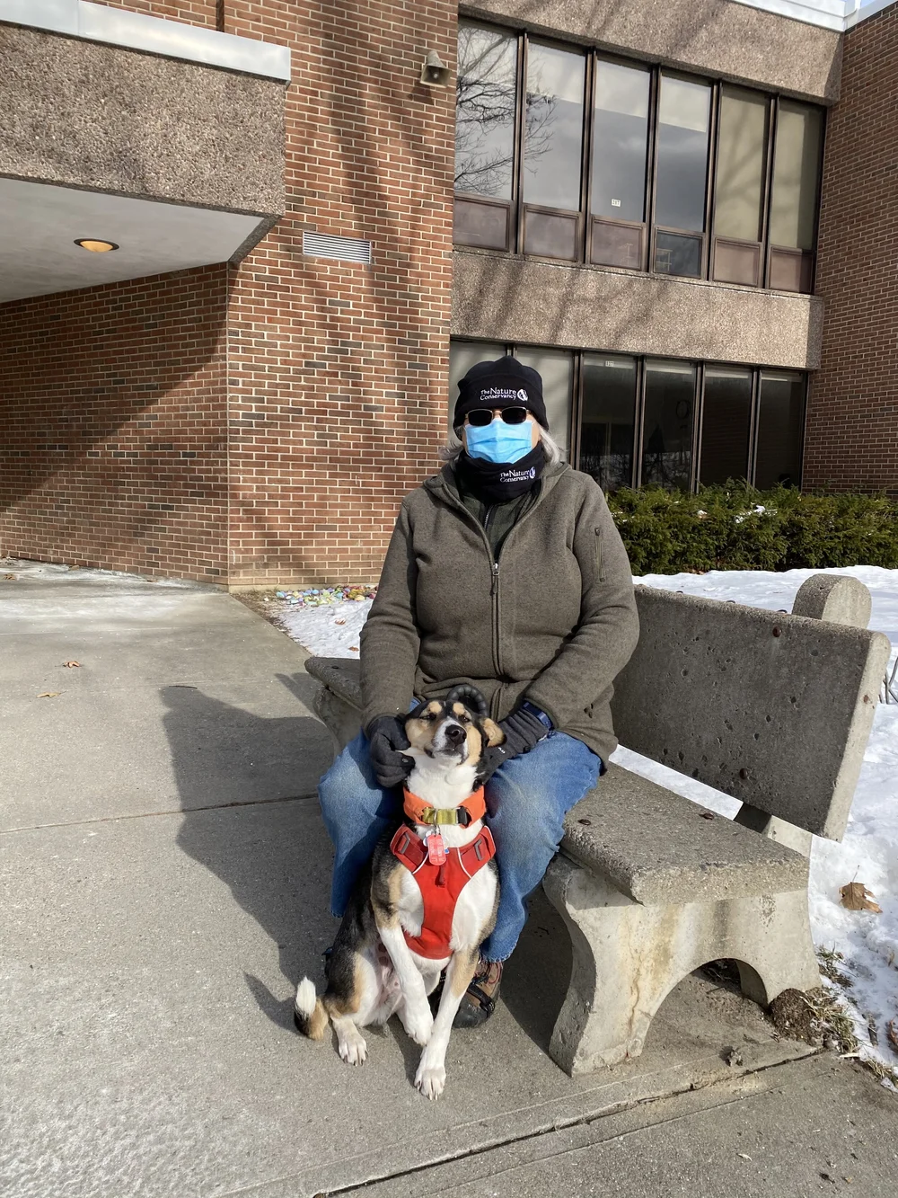 Marie Thomas, 63, with her dog Silas. Thomas and Silas dropped off lunch for town workers at Camel’s Hump Middle School in Richmond, along with a ballot. (Emily Shedd/Community News Service)