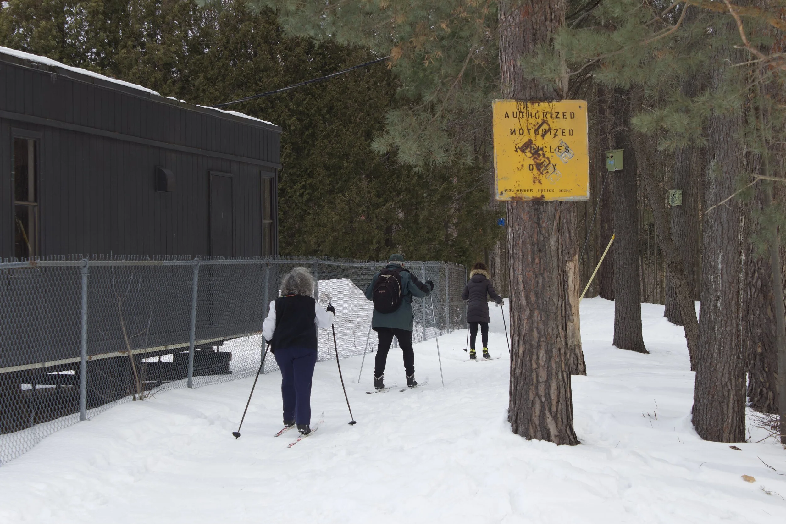 Locals enjoy free XC skiing at Gilbrook Park