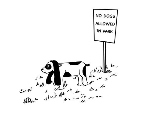 Part of Hinesburg’s Geprags Park closed off to dogs