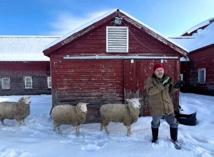 From sheep to shop, here’s how one Vermont sweater biz fights fast fashion