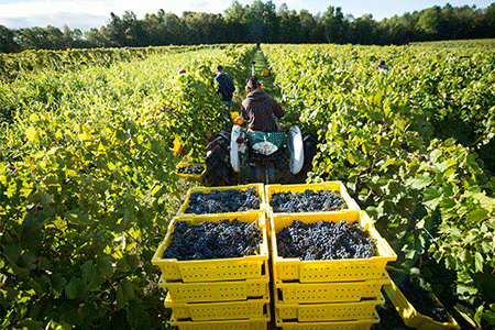 Bill would give $500K to help small farmers switch up their products
