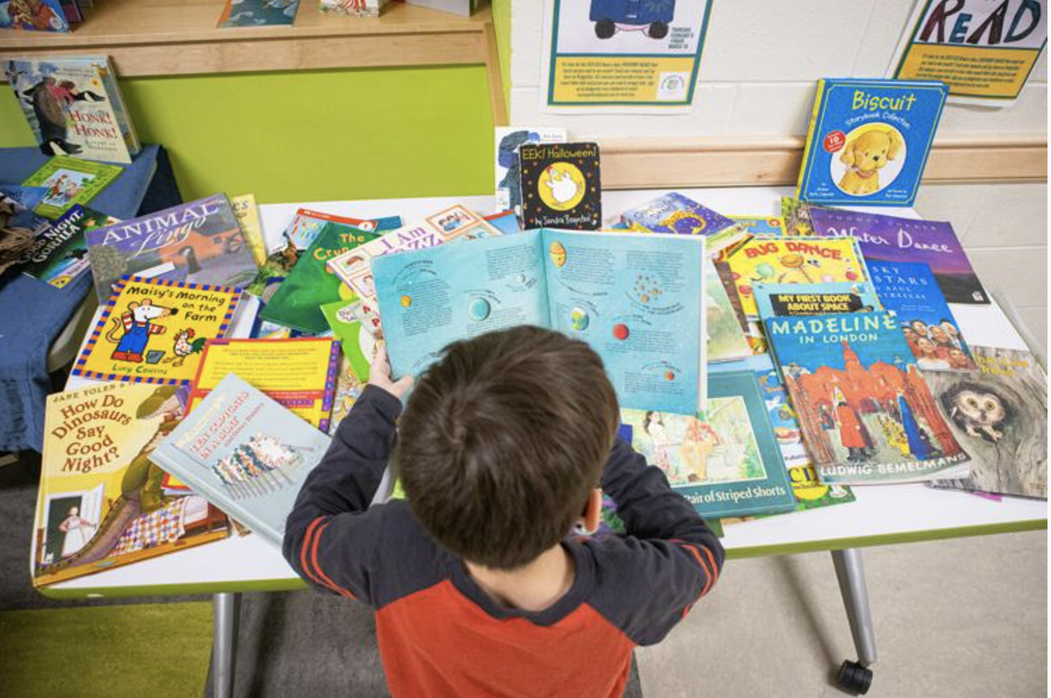  A student browses bools at the Shelburne Commuity School on Feb. 9.  Photo by Aylin Kursat 