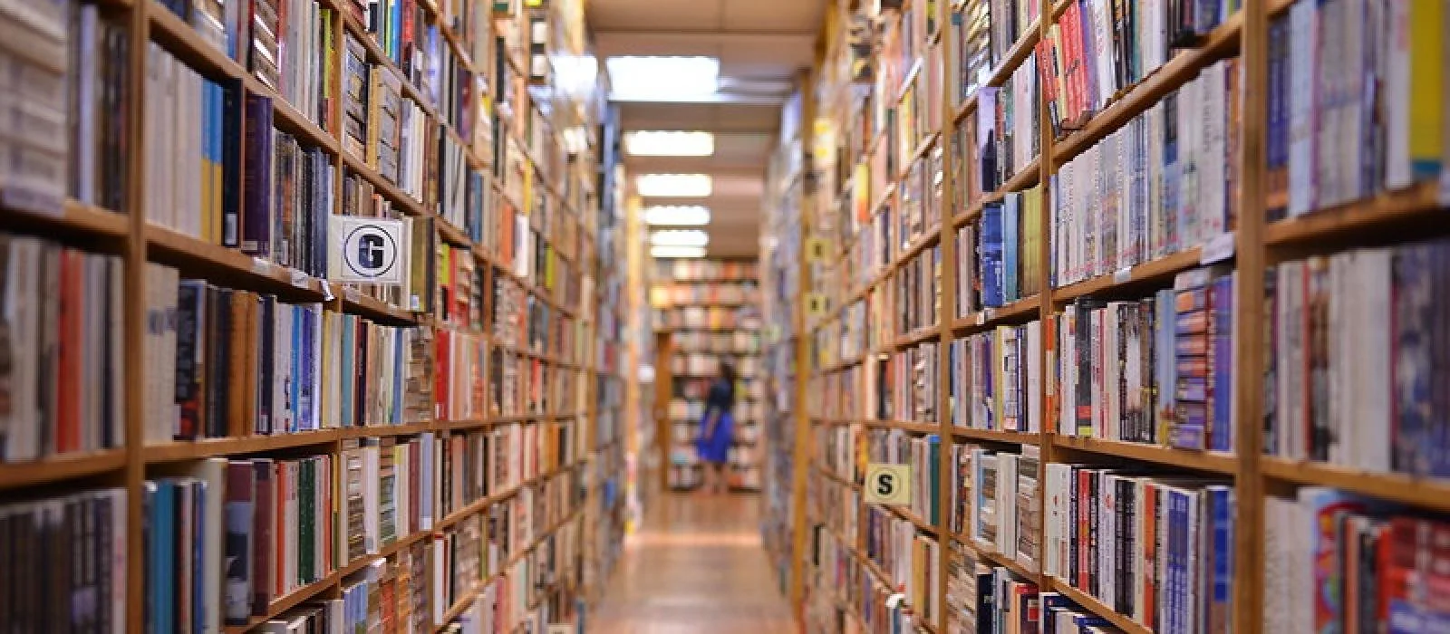 Queer Reads creates library space for LGBTQ youth