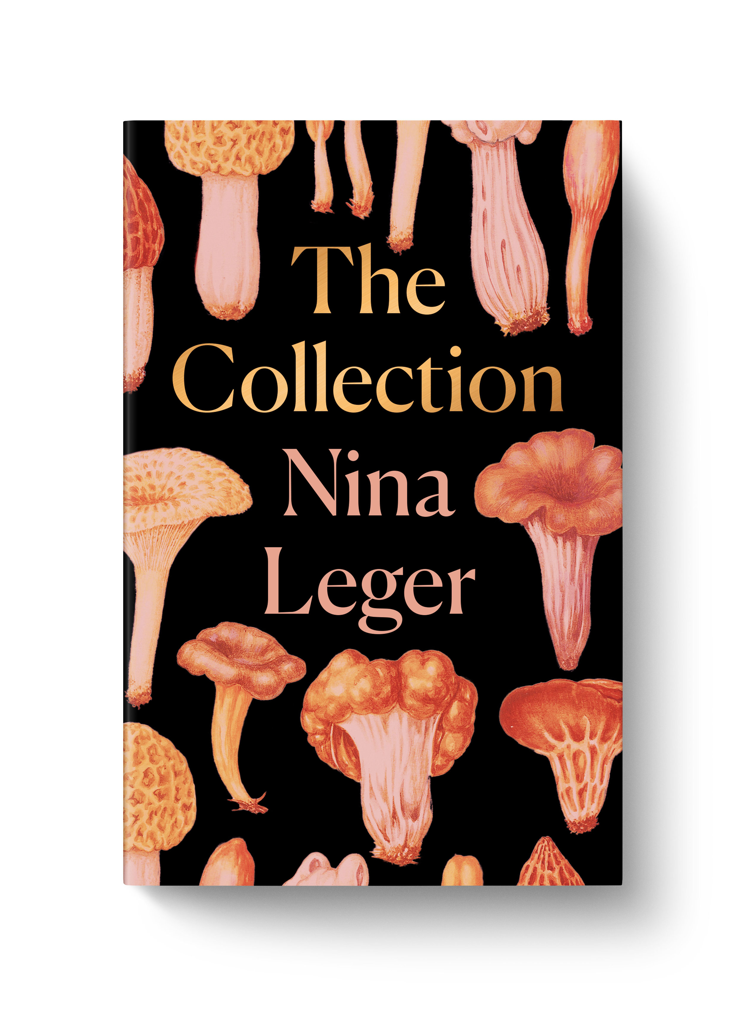   The Collection  Nina Leger  Granta 