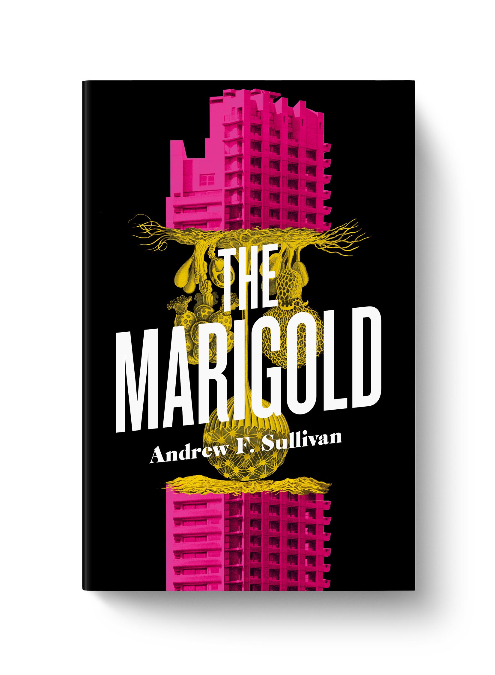   The Marigold  Andrew F. Sullivan  ECW Press 