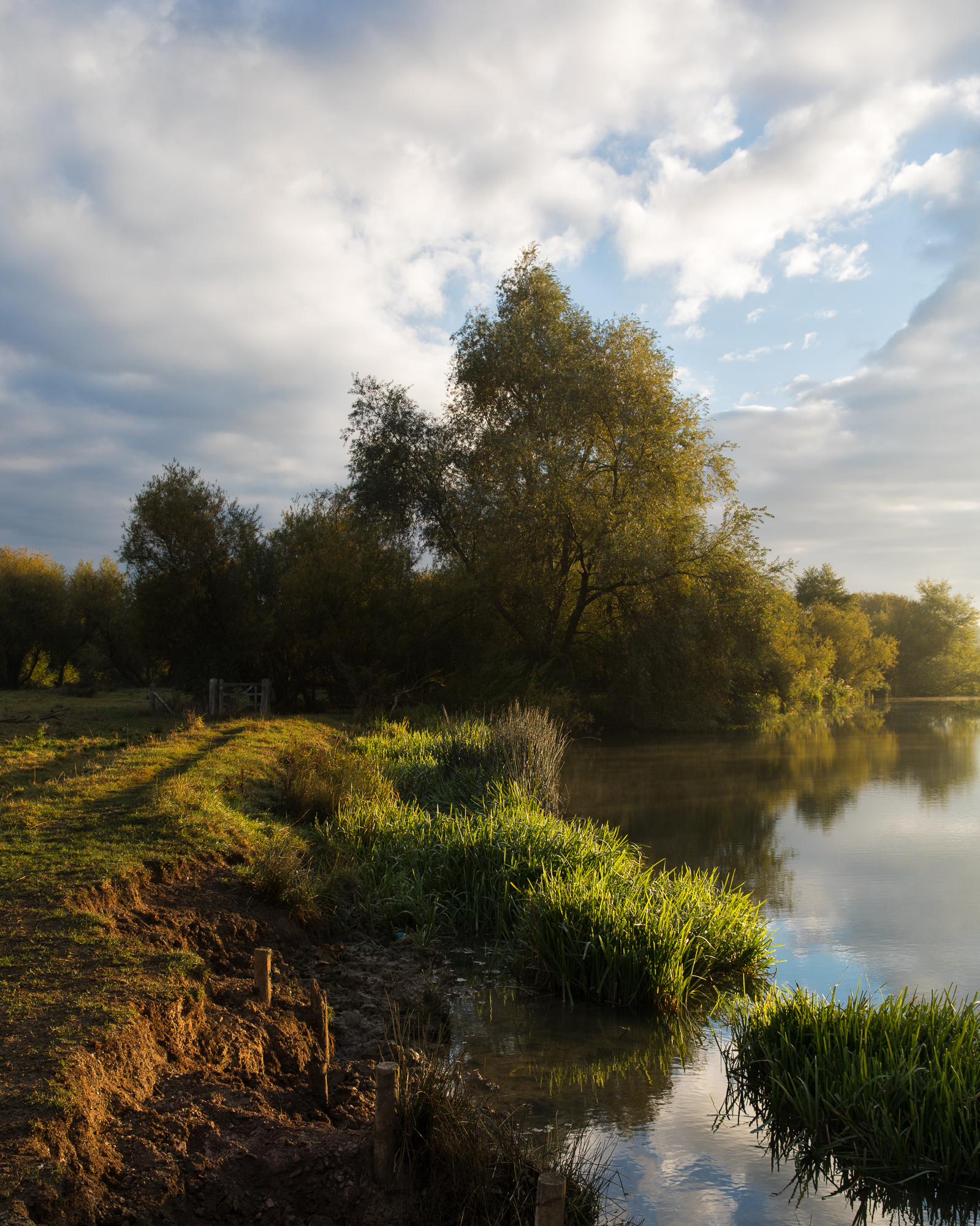 Autumn on the Thames