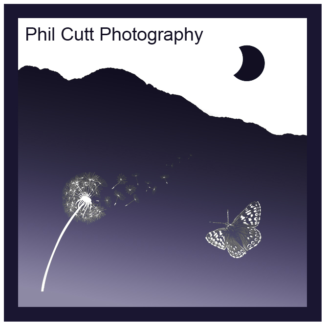 Phil Cutt