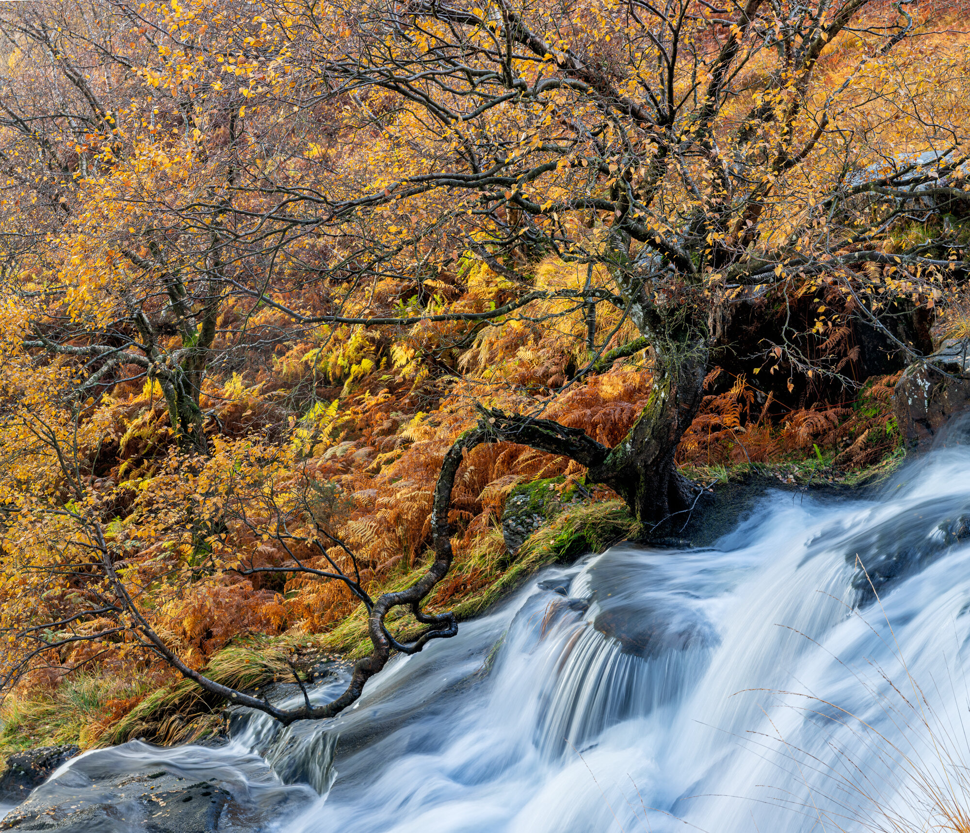 _D4_1735-HDR-Pano.jpg