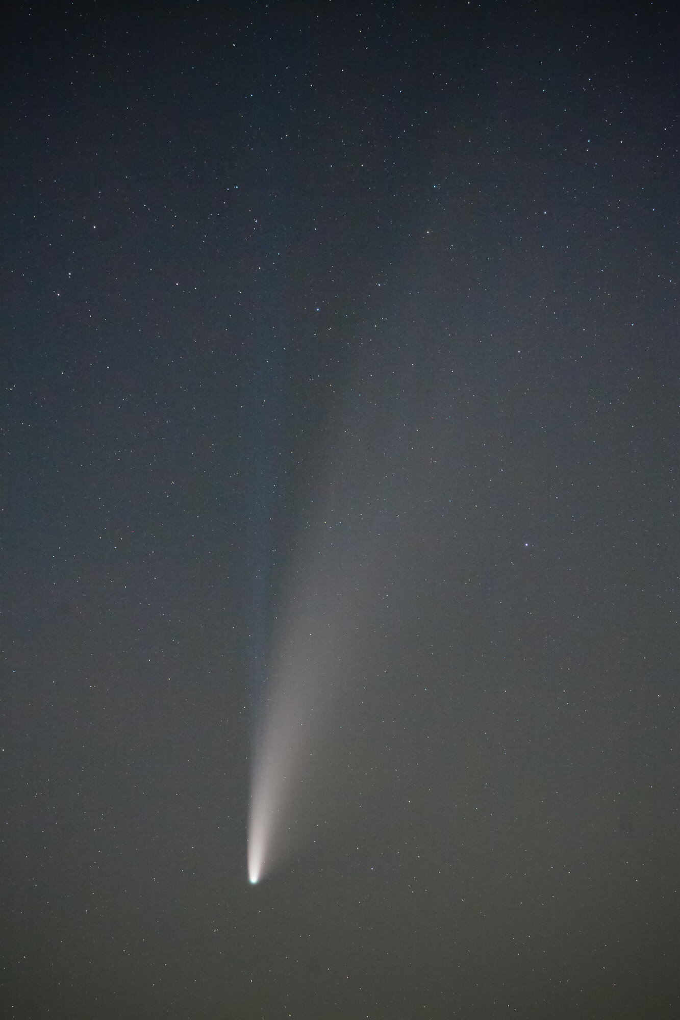 Comet Neowise