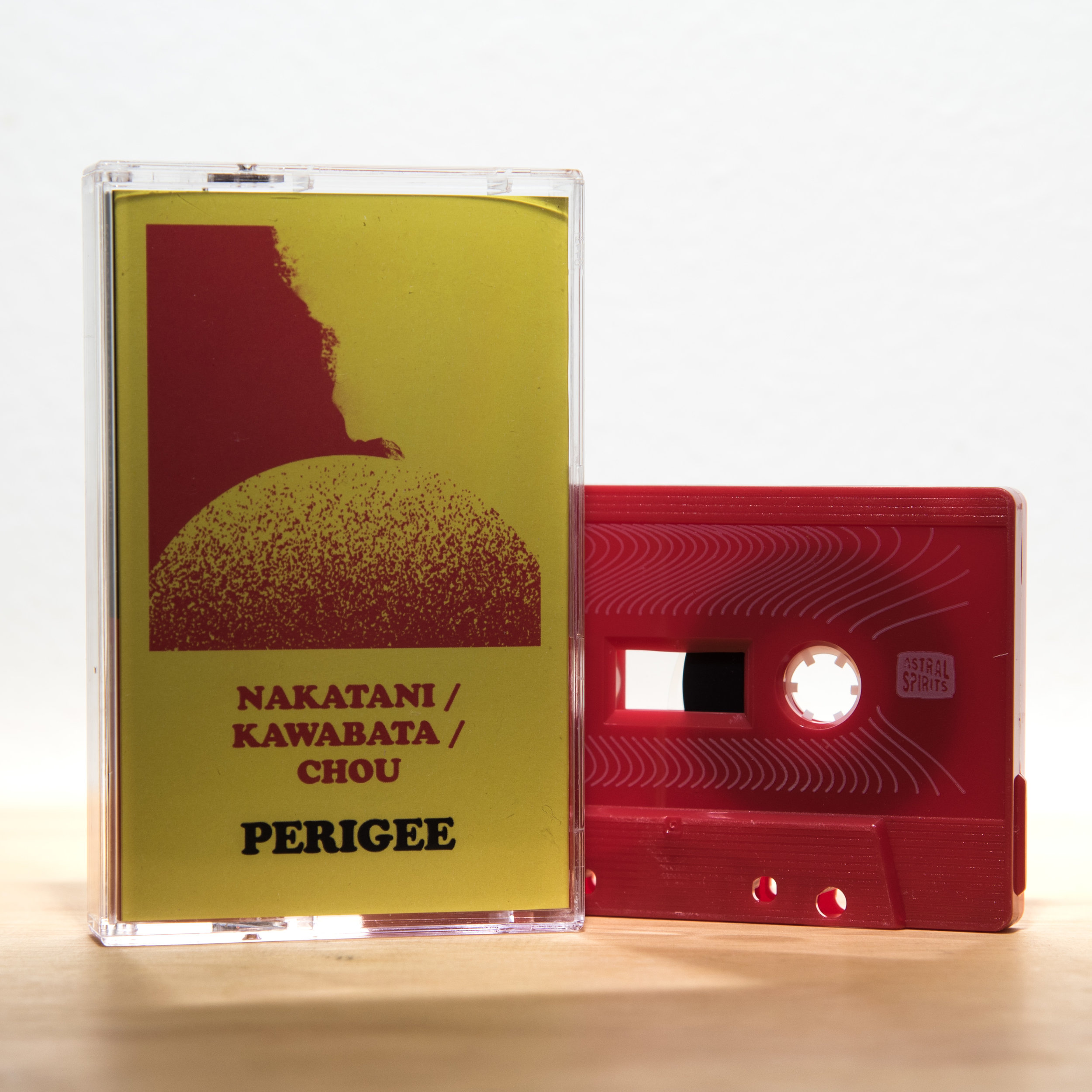 Perigee tape out.jpg