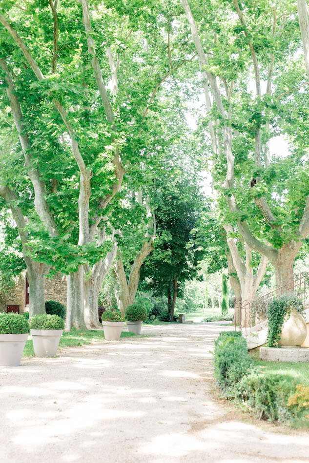 Jardin du lieu de réception et ses immenses platanes tricentenaires.