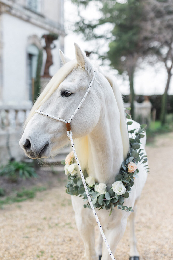 Un magnifique cheval blanc avec un collier de fleurs 