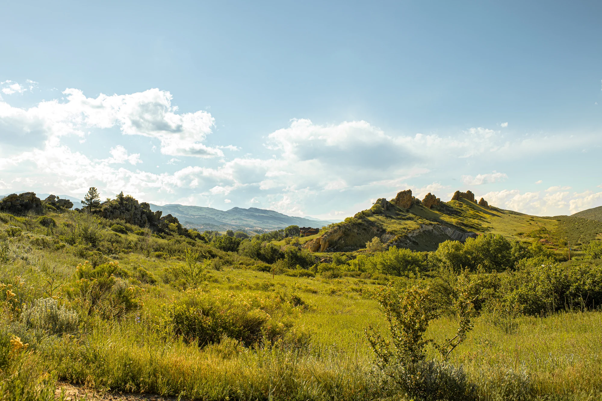 Colorado-Beauty-Chelsea-Delanie-photography.jpg