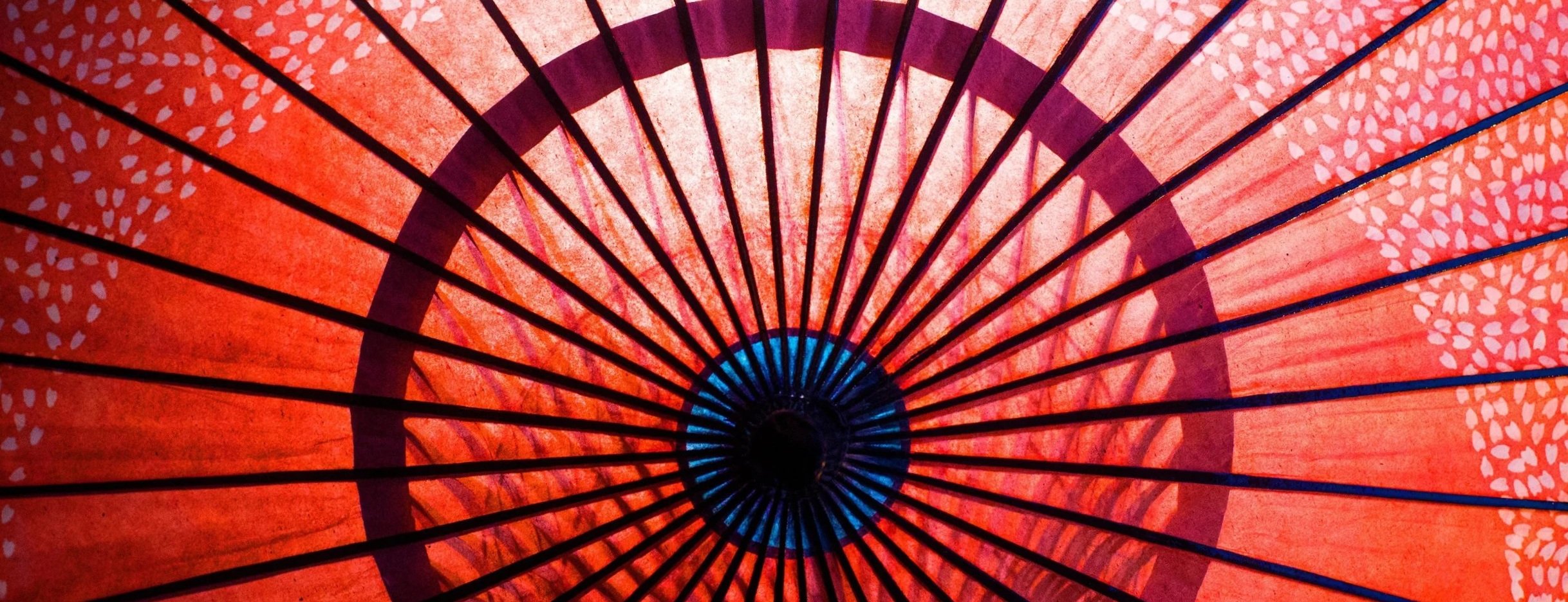 img-CJCC-umbrella.jpg