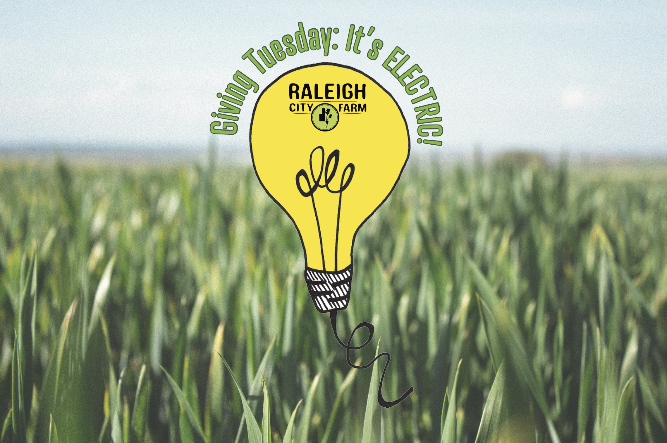 Giving Tuesday: It’s Electric!