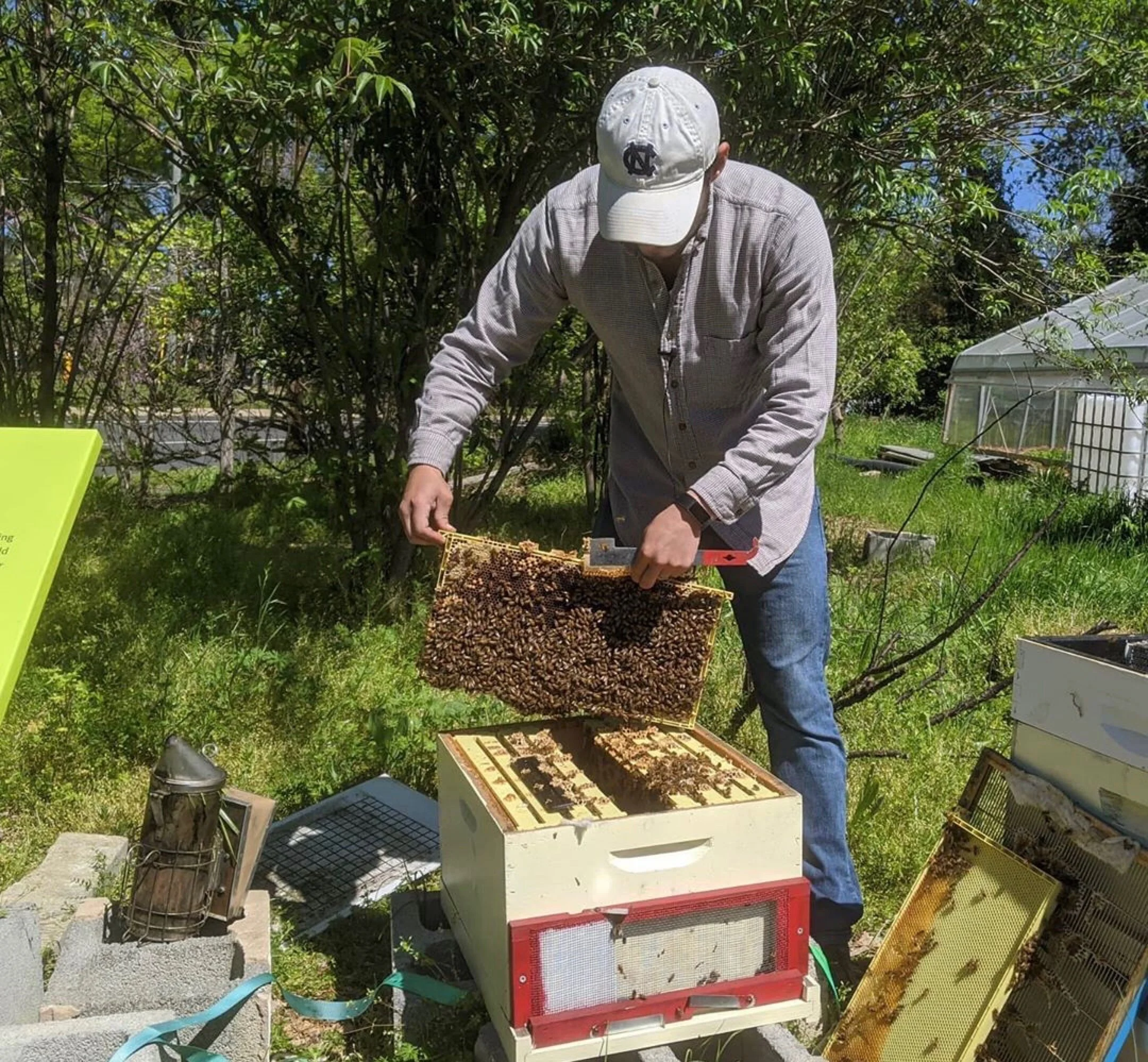 Pollinator Week 2020, Sponsored by Logan’s Garden Shop