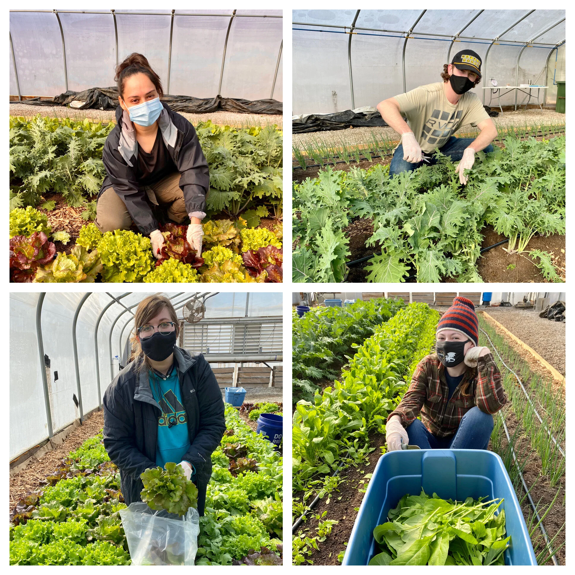 Meet Our Winter/Spring 2021 Intern Team