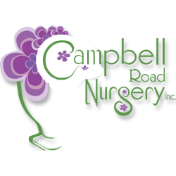 campbell-rd-nursery-250.png