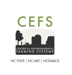 CEFS-Website-Logo.png