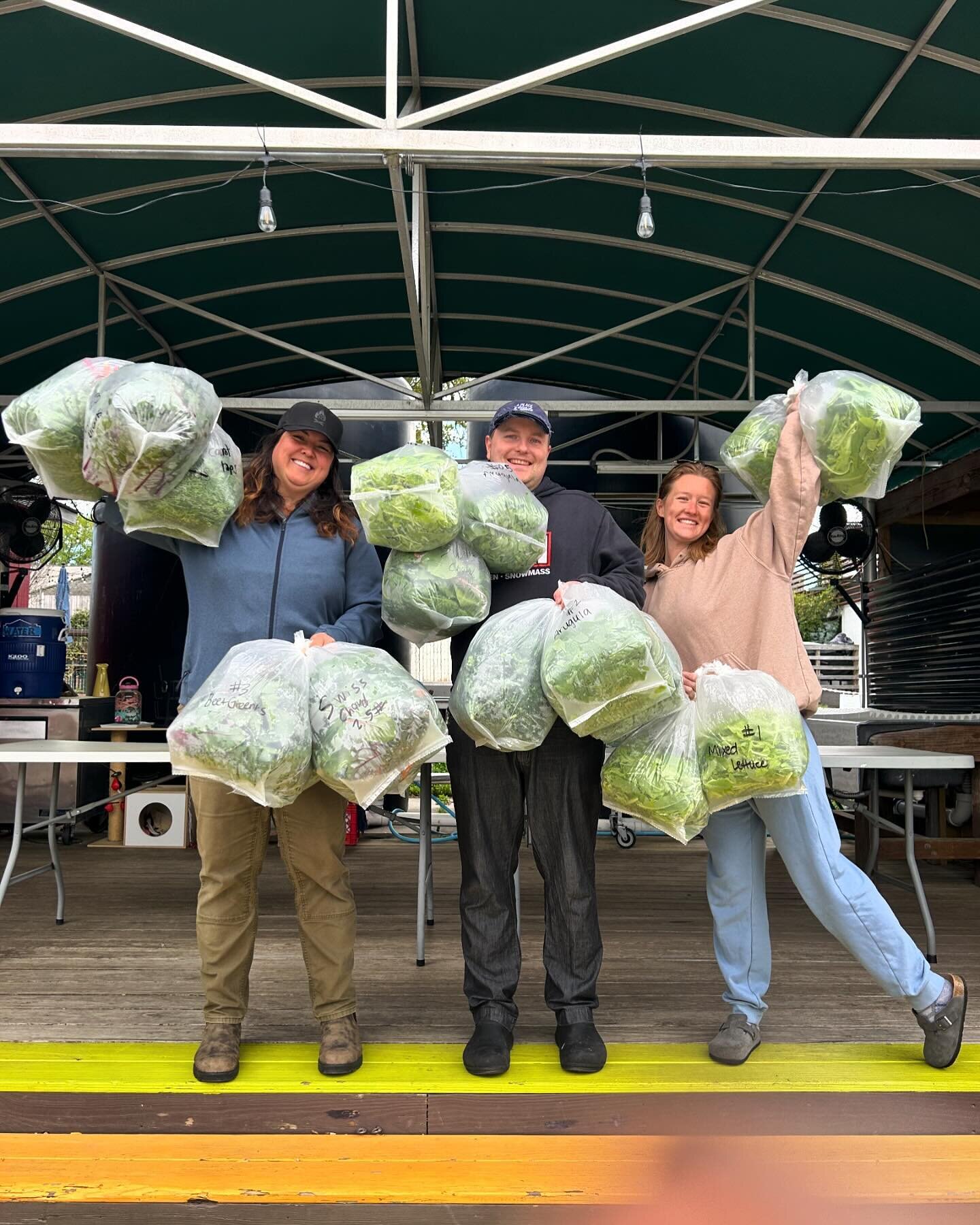 Look for our lettuce in your salads @tableraleigh, one of our fav #farmshare partners. We&rsquo;ve been sharing our produce with them since 2020 &mdash; upwards of 3,750# &mdash; and we&rsquo;re in awe of how they advance their mission to provide com