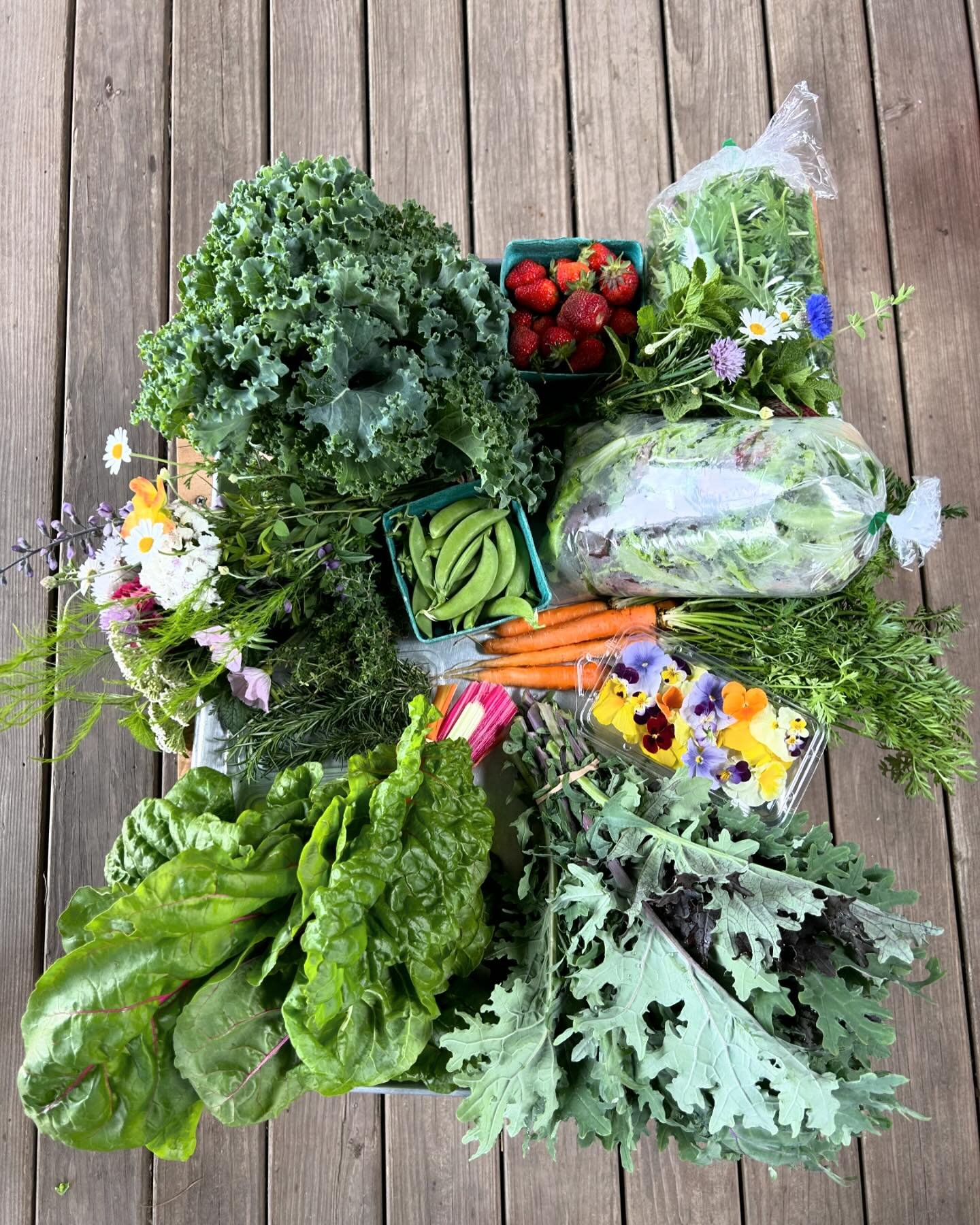 Check out our beautiful spring bounty! So many greens, herbs, flowers and a bumper crop of strawberries! Our Farmstand is open from 4-7pm today. Walk ups only. Cash, credit, Venmo, Apple wallet. Pay the suggested price or pay what you can! 

#knowyou
