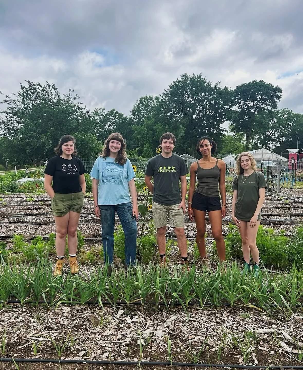 Meet our Summer Intern Team