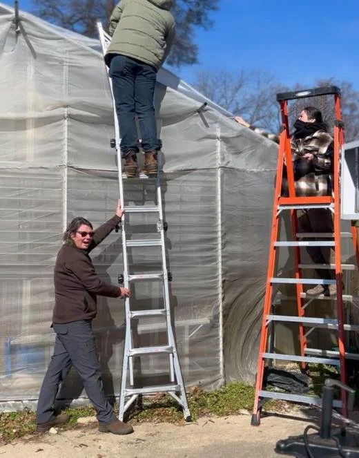 raleigh city farm 2025 year in review 1.jpg