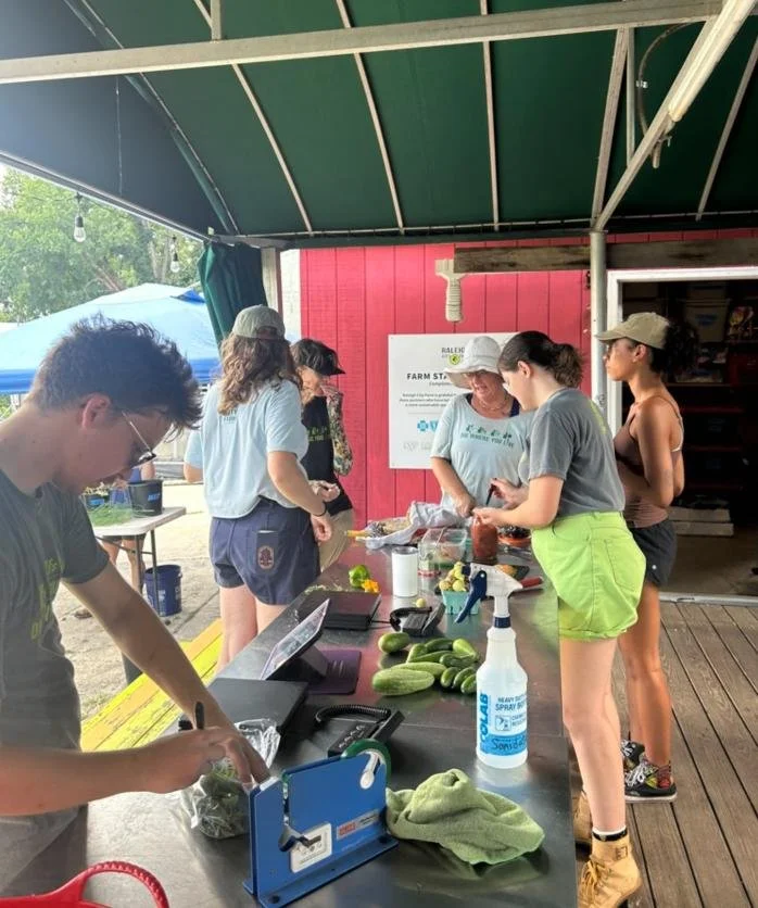 raleigh city farm 2025 year in review 11.jpg