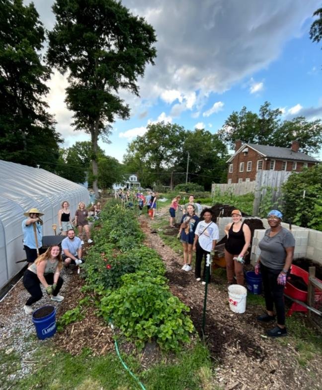 raleigh city farm 2025 year in review 18.jpg