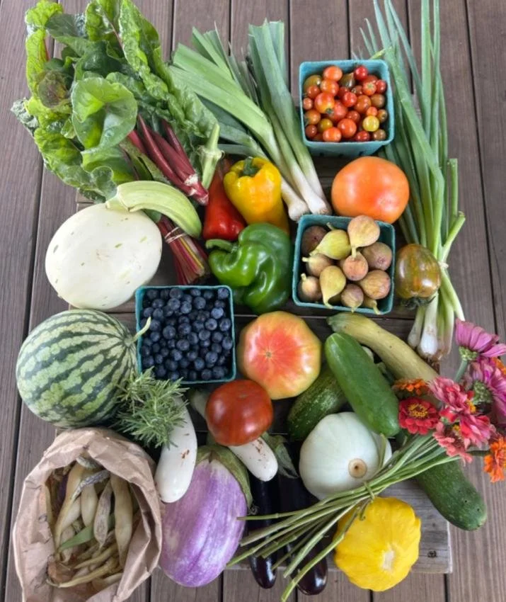 raleigh city farm 2025 year in review 31.jpg