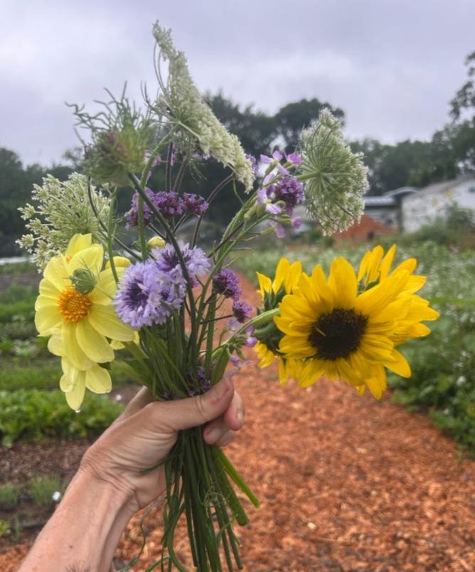 raleigh city farm 2025 year in review 33.jpg