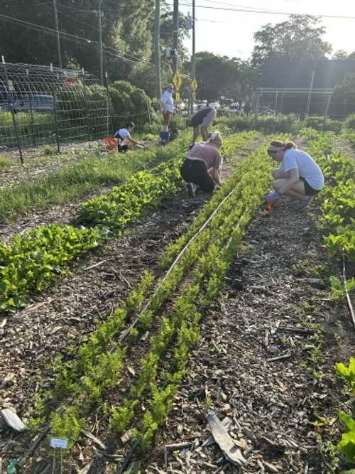 February  Volunteer Work