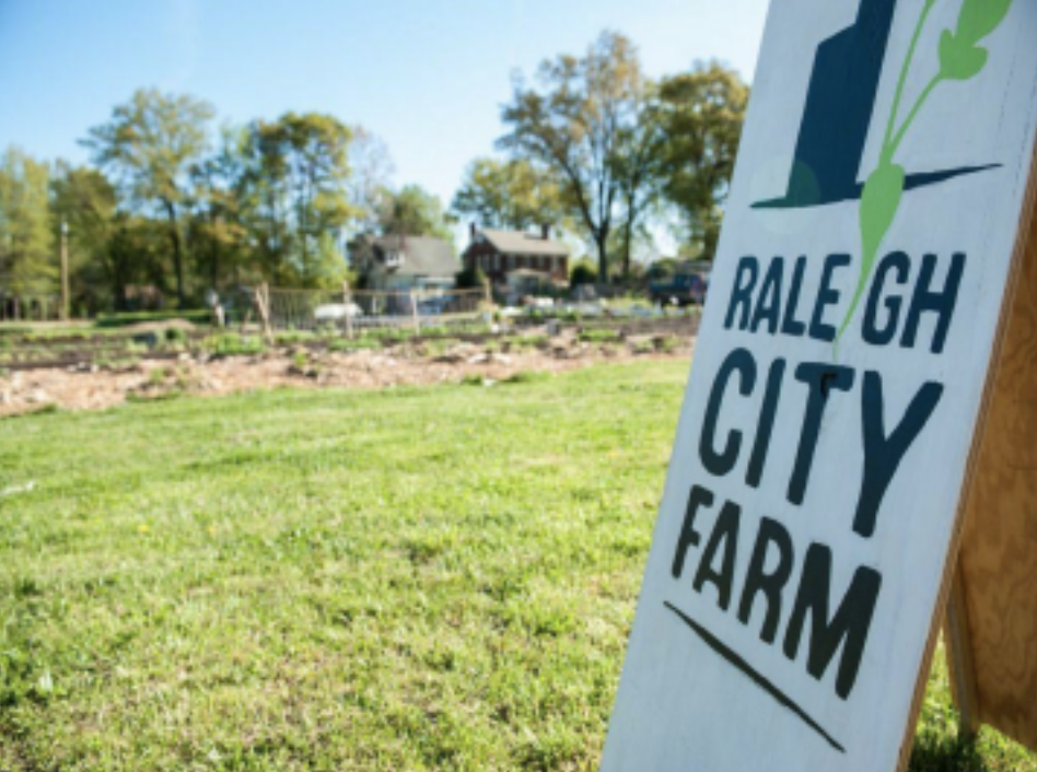 Sweet 15: RCF Grows Up 🌱🎉