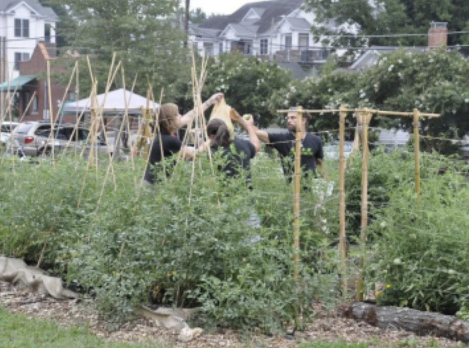 Screenshot 2026-03-24 at 8.16.18 PM.png