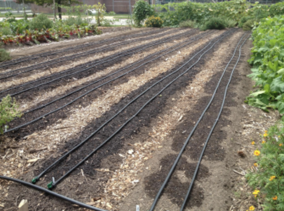 Screenshot 2026-03-24 at 8.16.22 PM.png