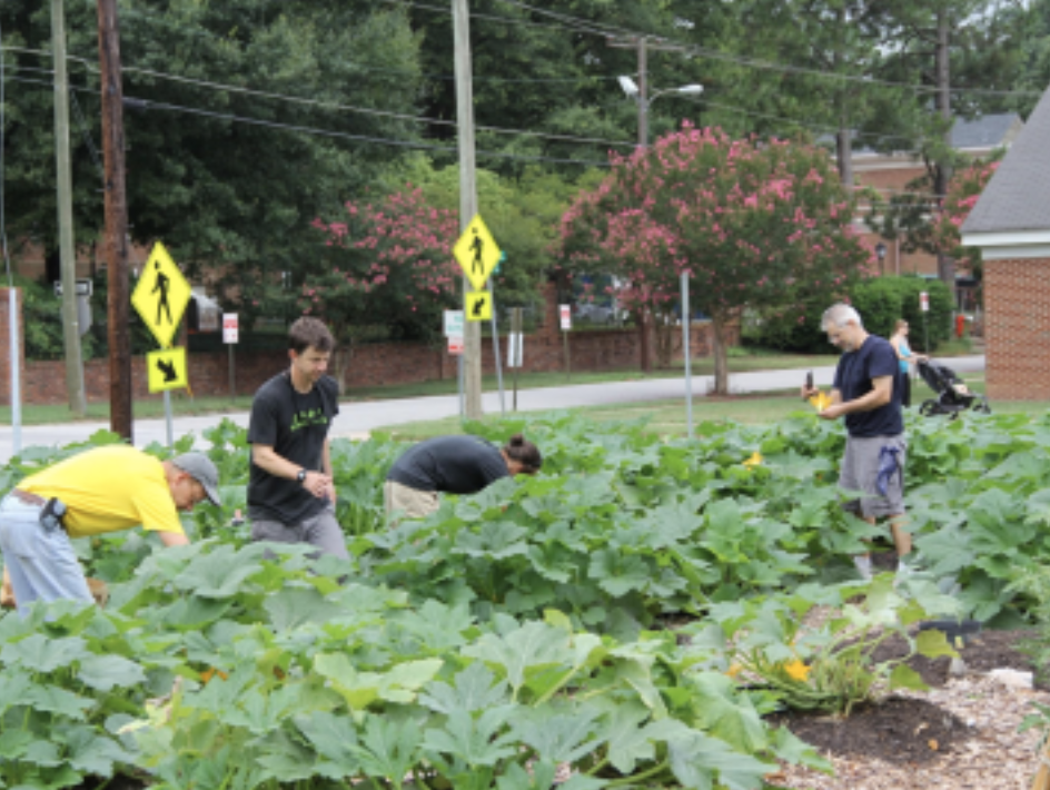 Screenshot 2026-03-24 at 8.16.29 PM.png