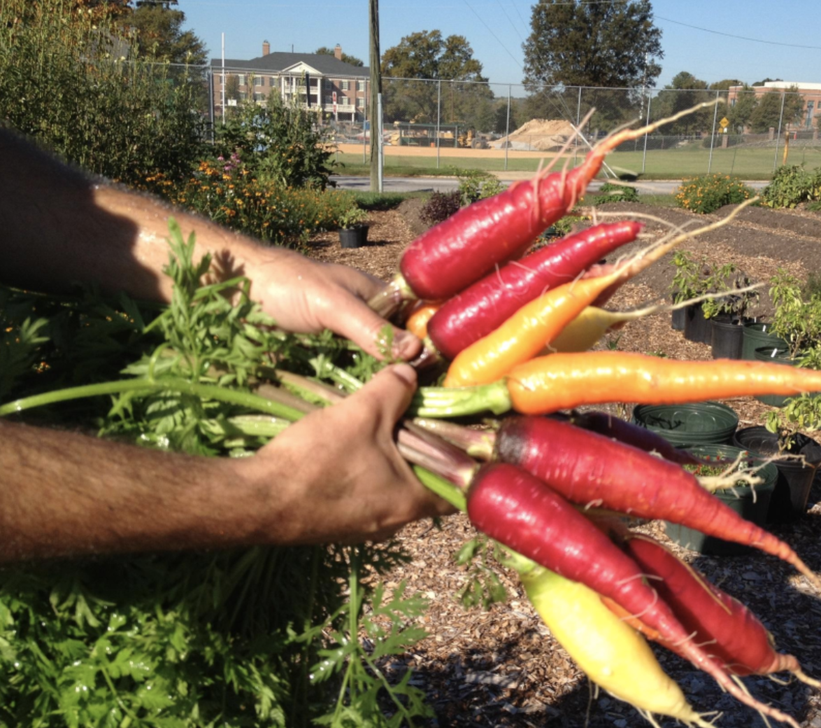 Screenshot 2026-03-24 at 8.16.40 PM.png