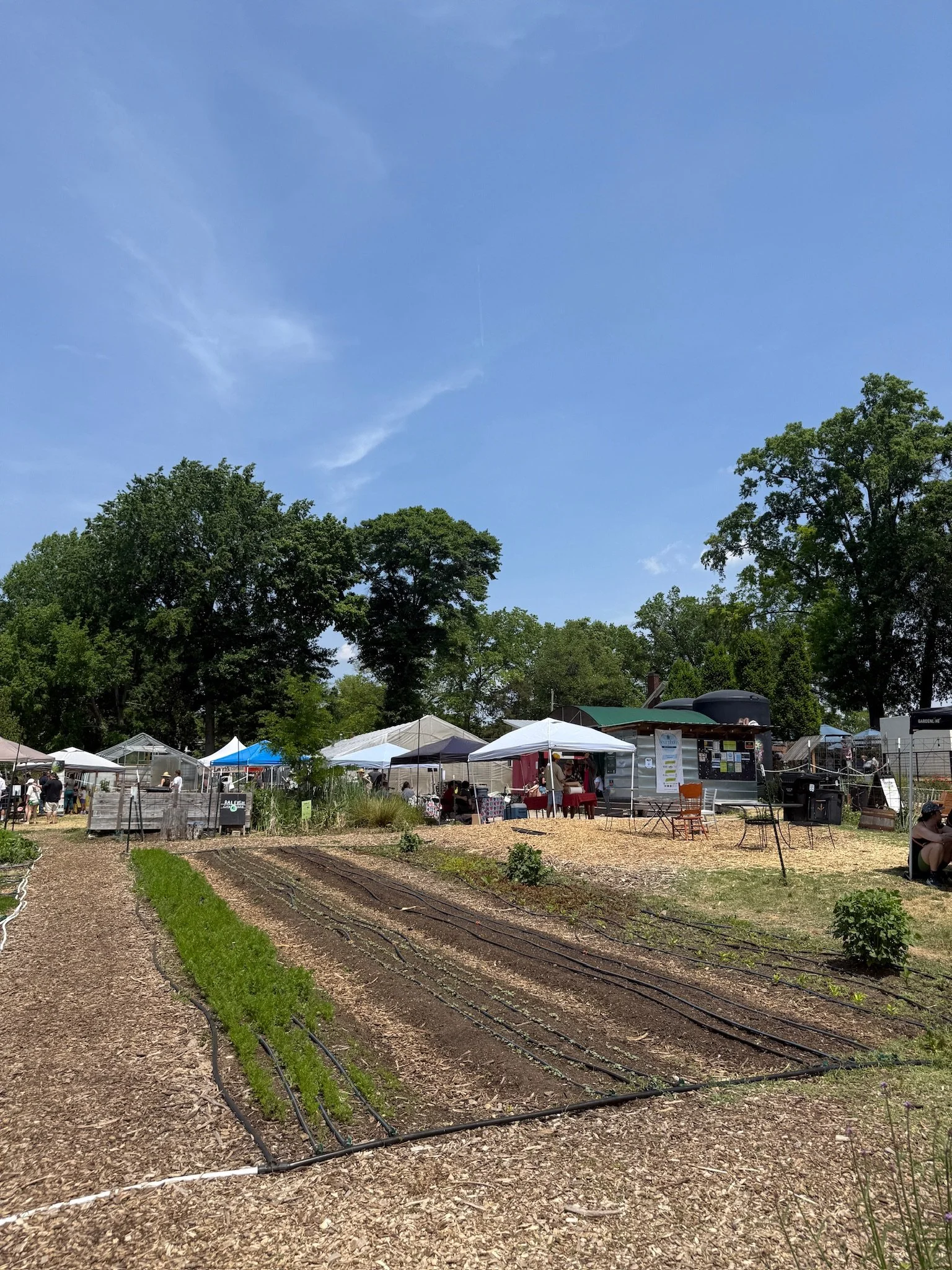 raleigh city farm bearthday 2026 13.JPG
