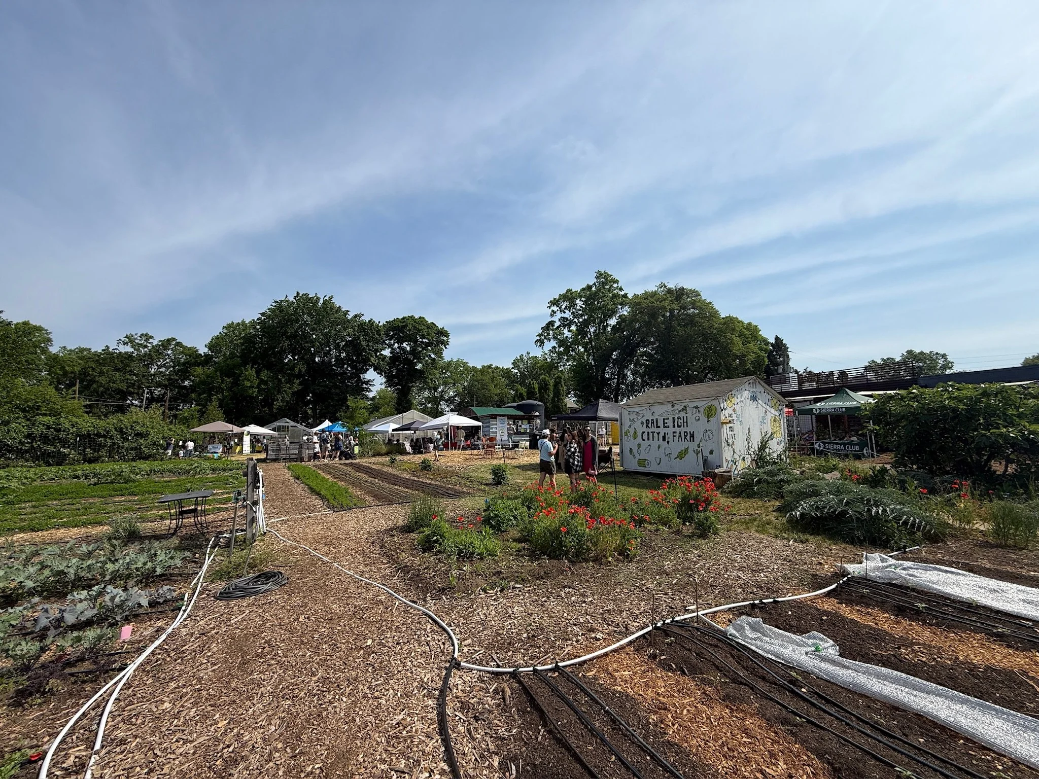 raleigh city farm bearthday 2026 29.JPG