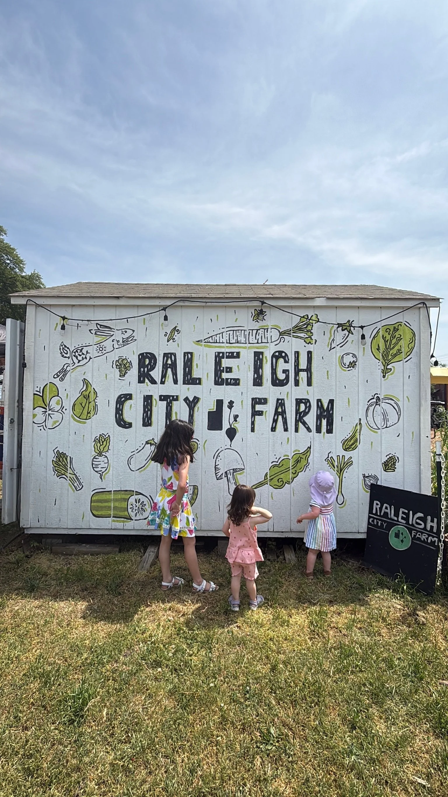 raleigh city farm bearthday 2026 34.JPG