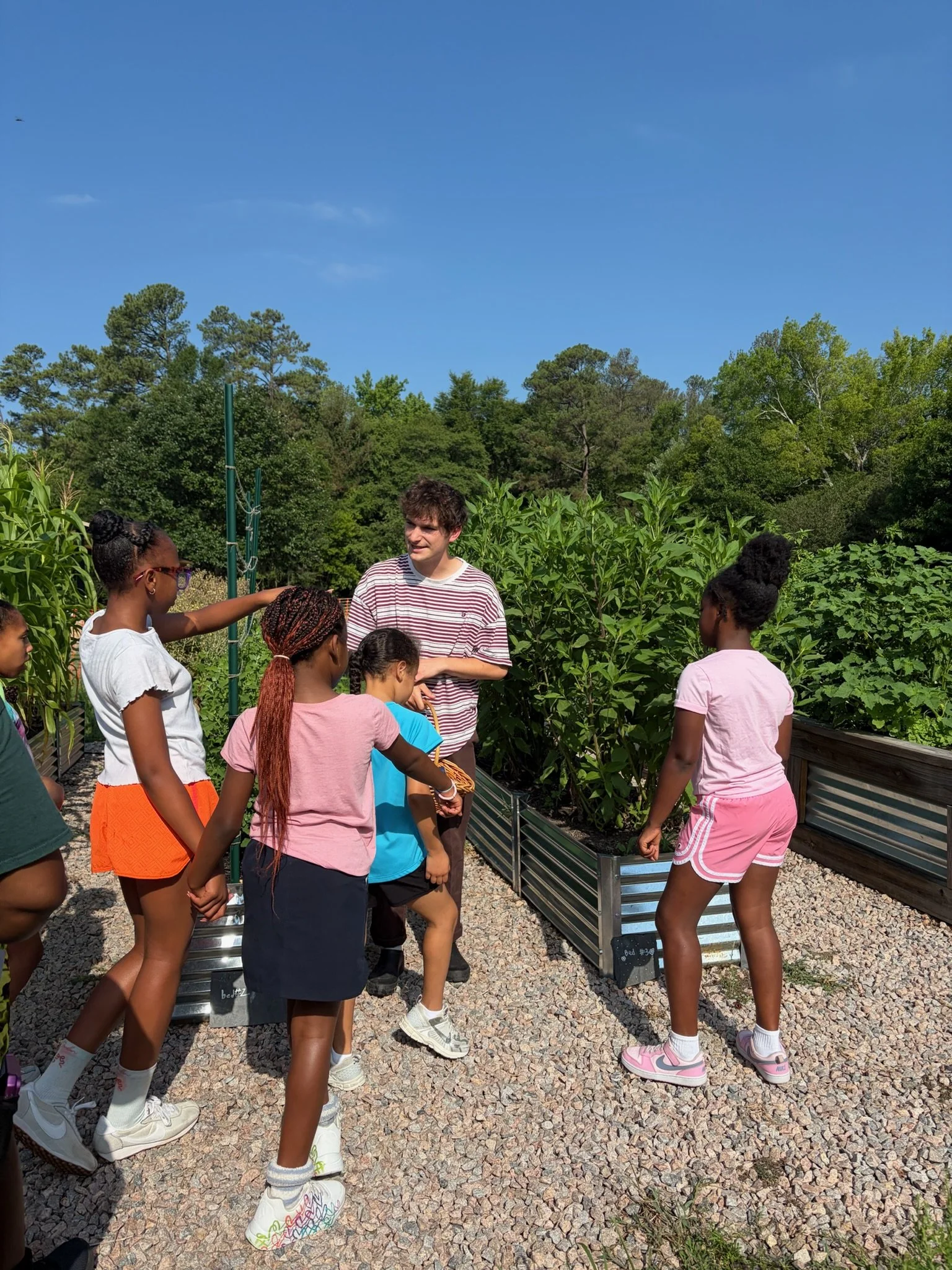 Raleigh City Farm Launches Farm to Camp at Marsh Creek Park