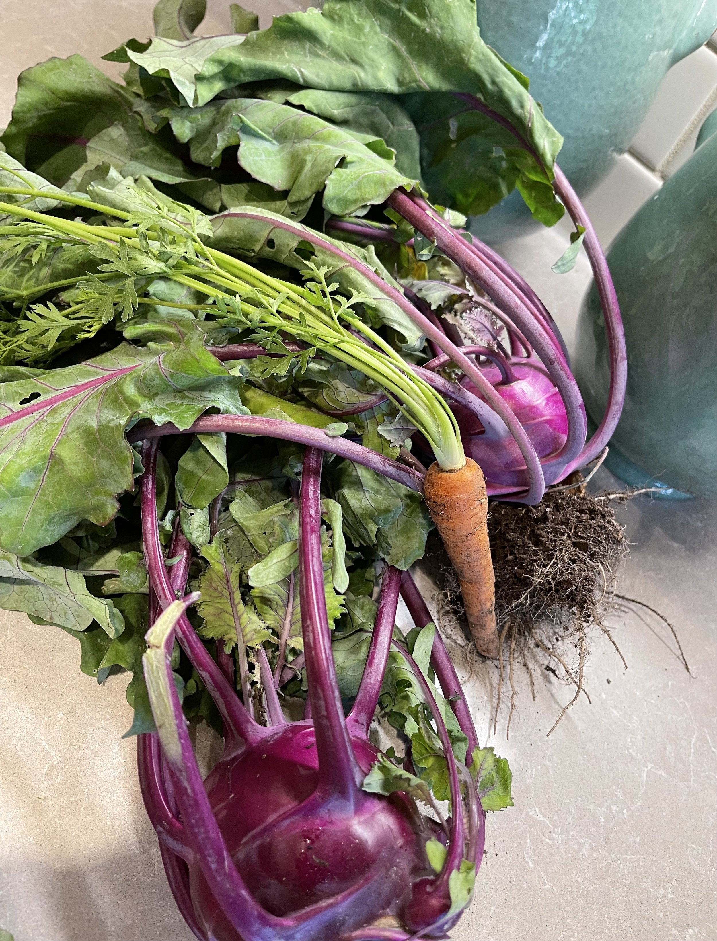 Kohlrabi Bites Recipe | Raleigh City Farm | Nonprofit urban farm in  downtown Raleigh, NC