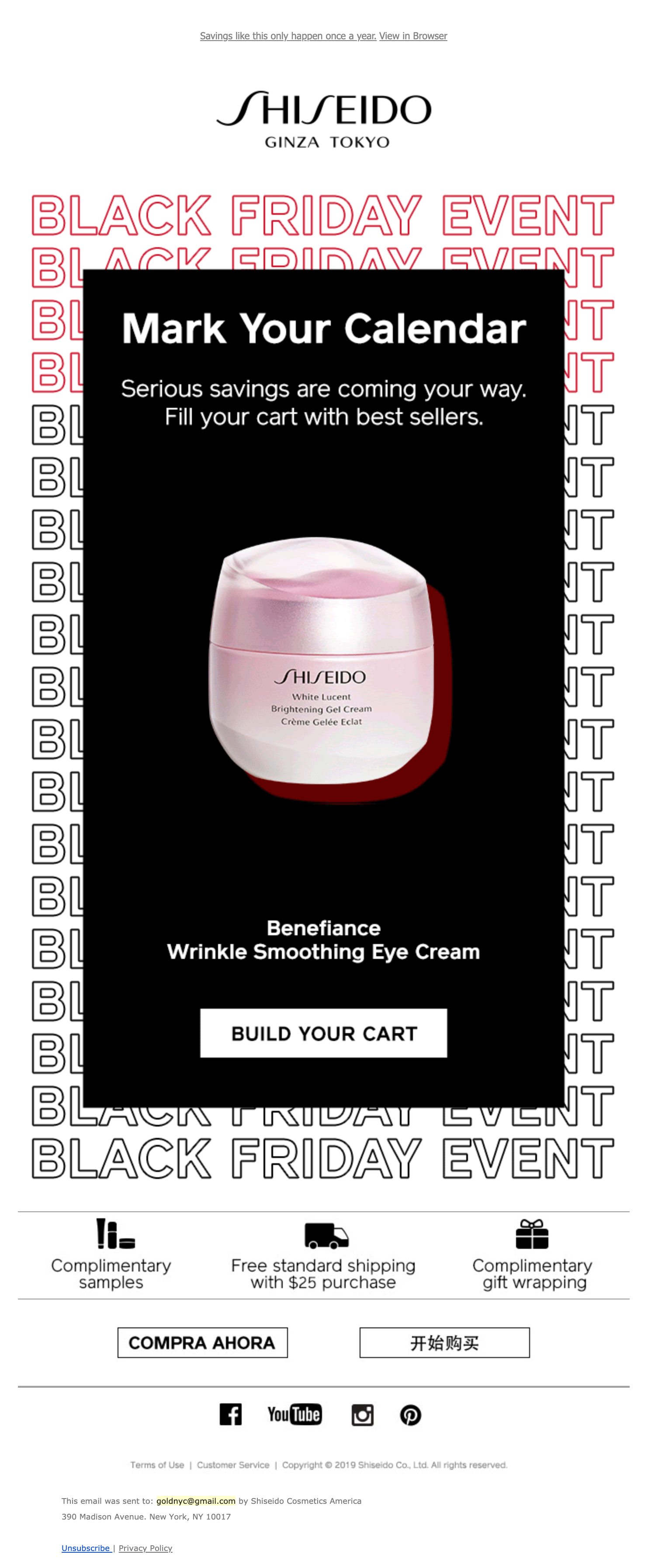 shiseido email 5.png