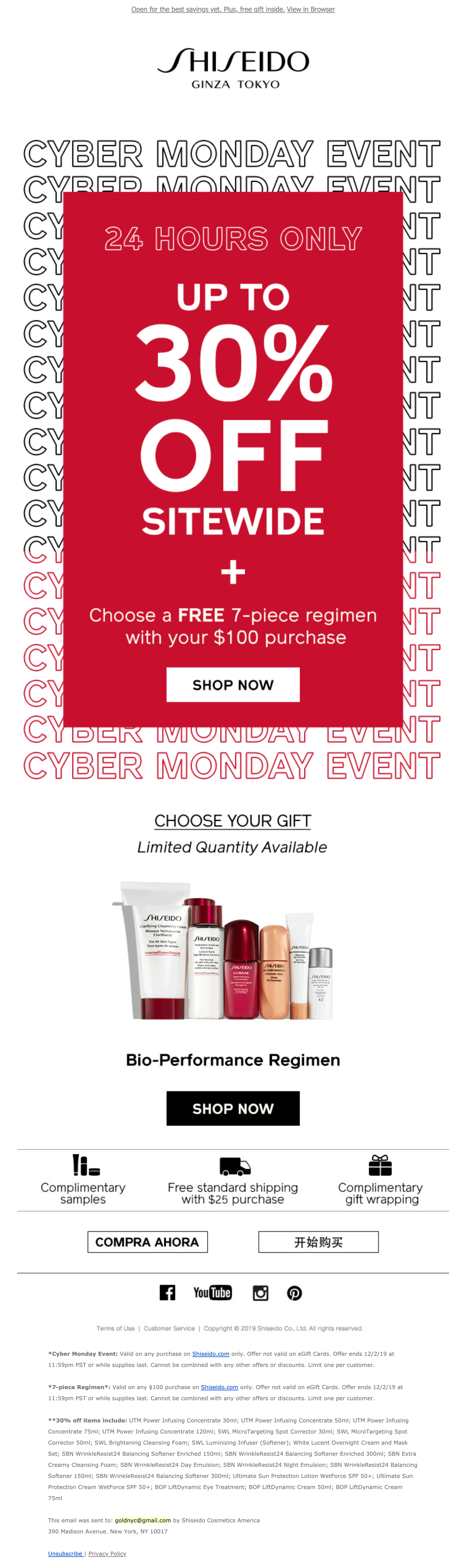 shiseido email 6.png