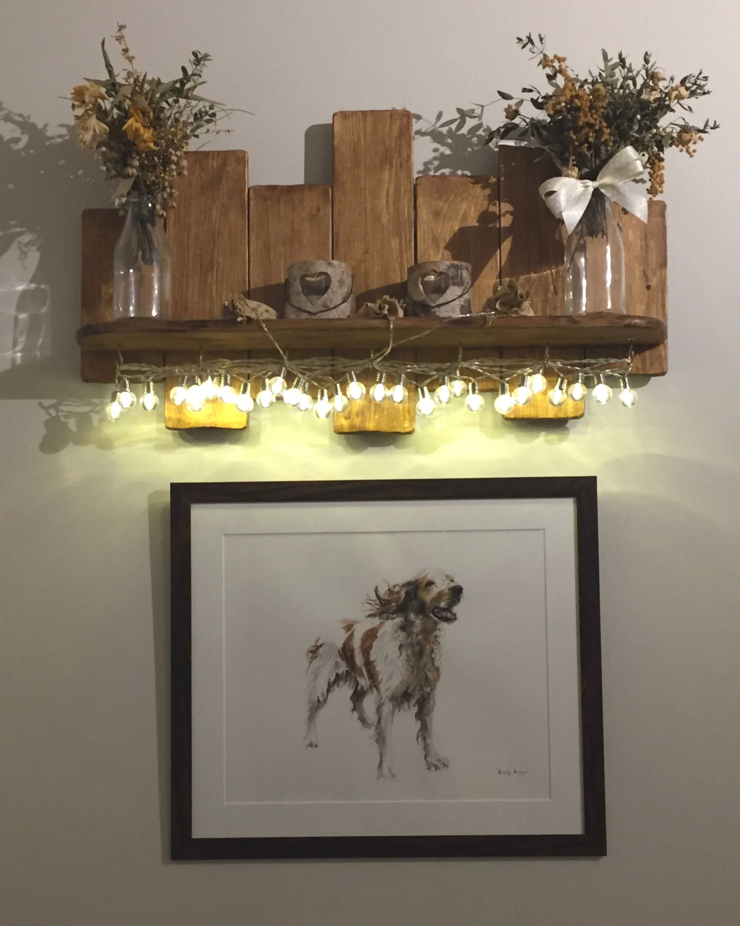 Sammy beautifully and creatively displayed by his owner.