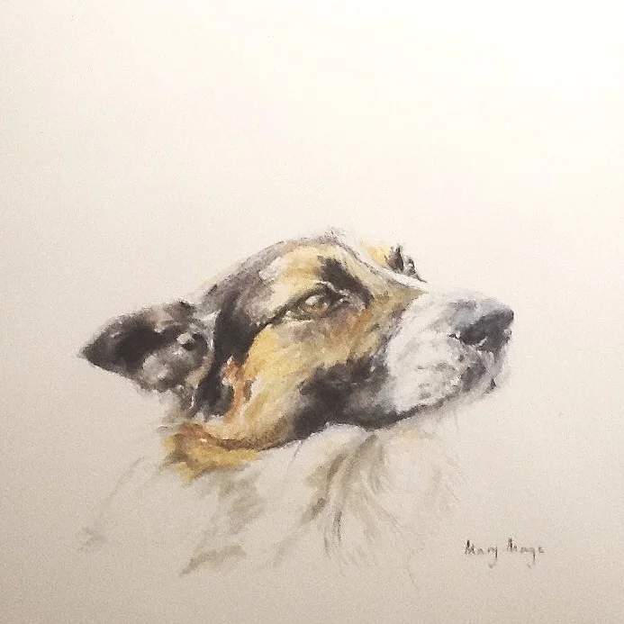 Bosco