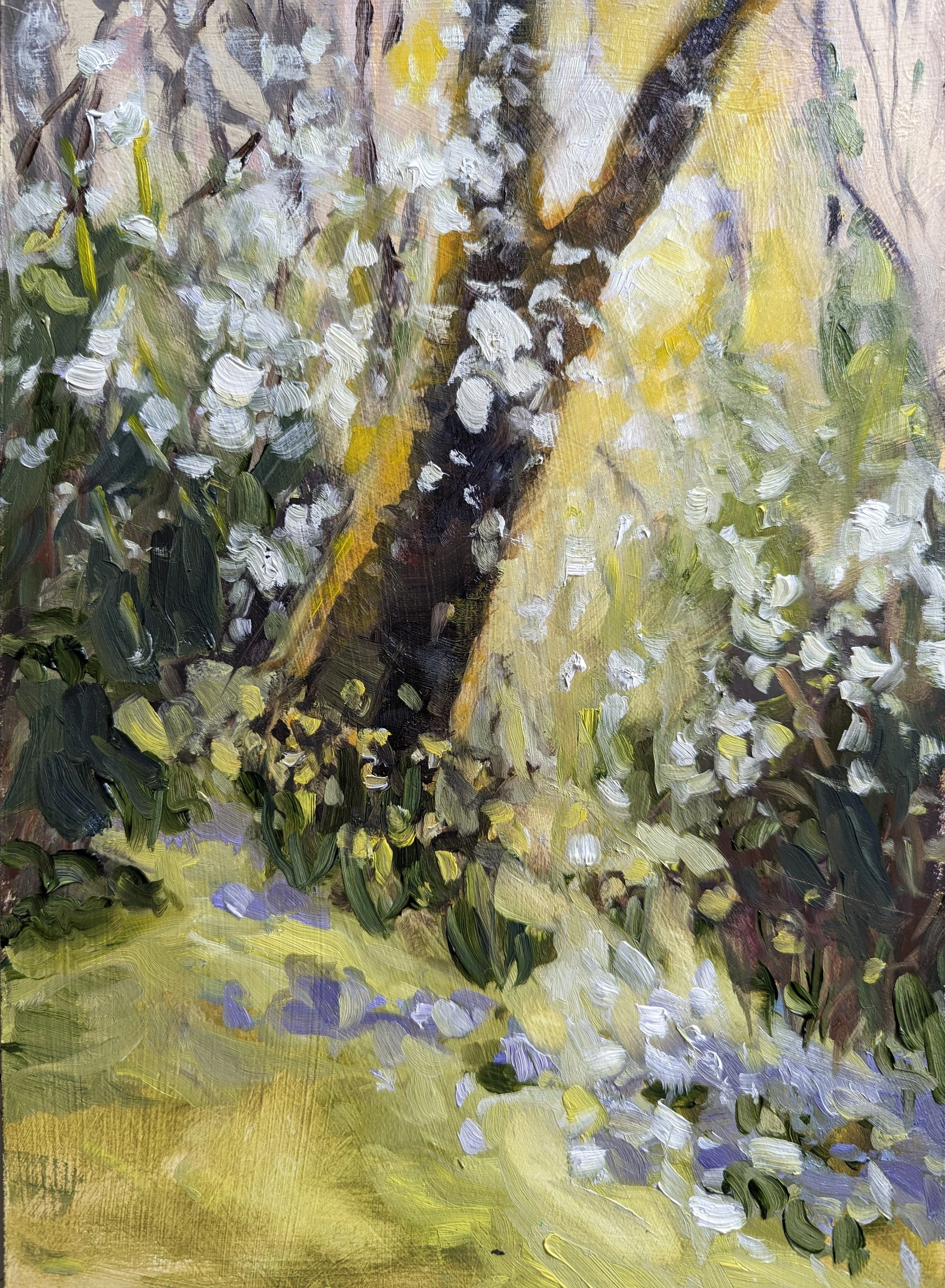 MaryGold's Garden