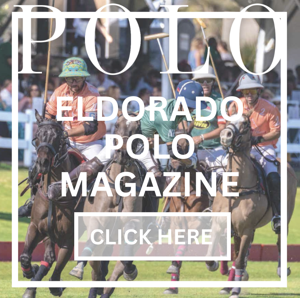 Screen Shot 2026-01-08 at 10.39.15 AM.png