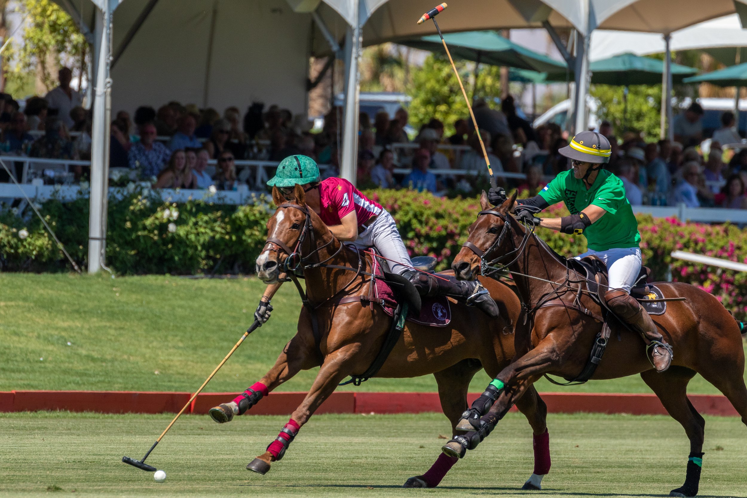 Competitive Polo in Seville - POLO+10