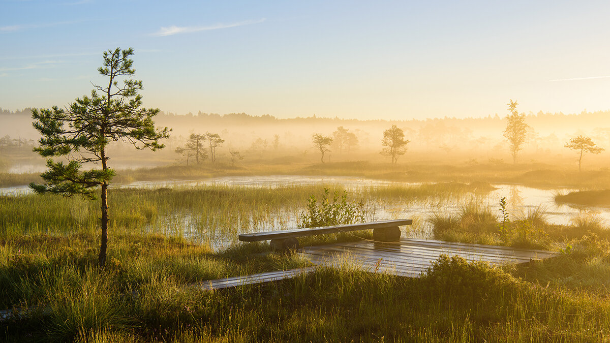 2219_Soomaa National park_Sven Zacek_24954375.jpg